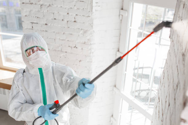 Asbestos and Lead Testing During Mold Inspection in Lincoln Park, CO