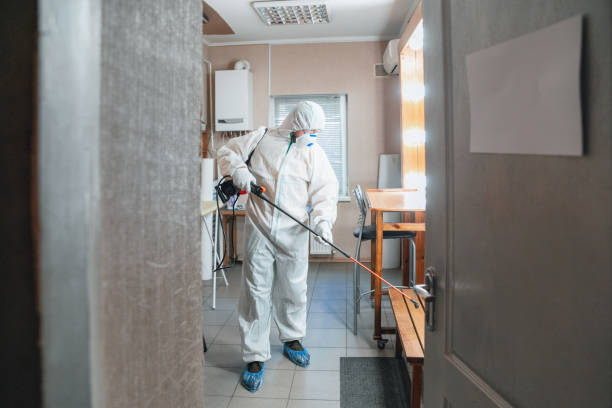 Best Residential Mold Inspection & Testing  in Linln Park, CO
