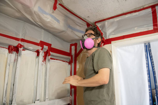 Lincoln Park, CO Mold Removal Company