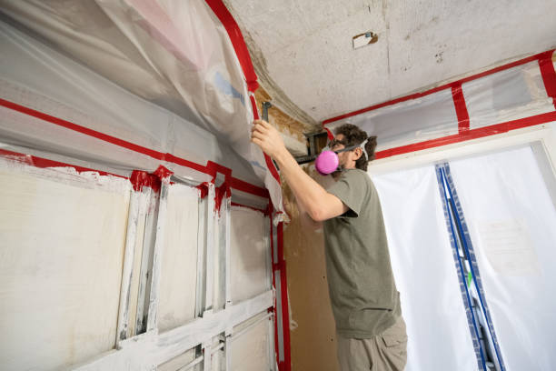 Biohazard Mold Removal in Lincoln Park, CO